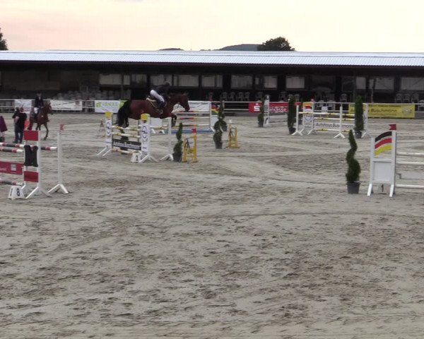 Reitturnier Vlotho-Exter 2020