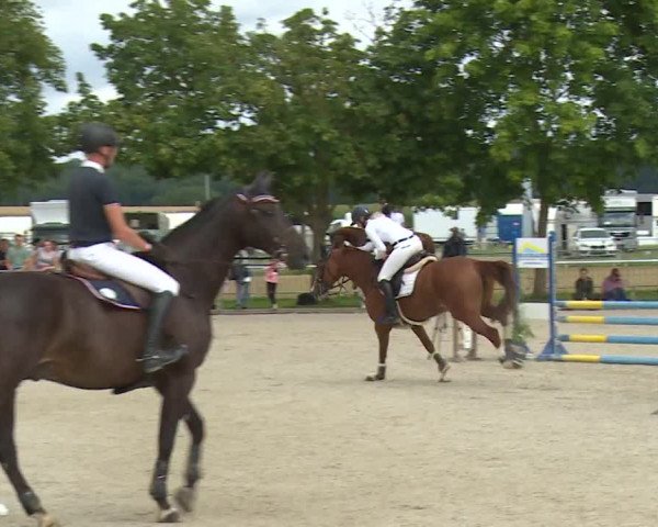 Reitturnier Rot am See- Musdorf 2020