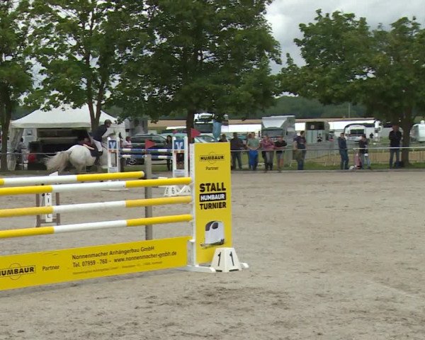 Reitturnier Rot am See- Musdorf 2020