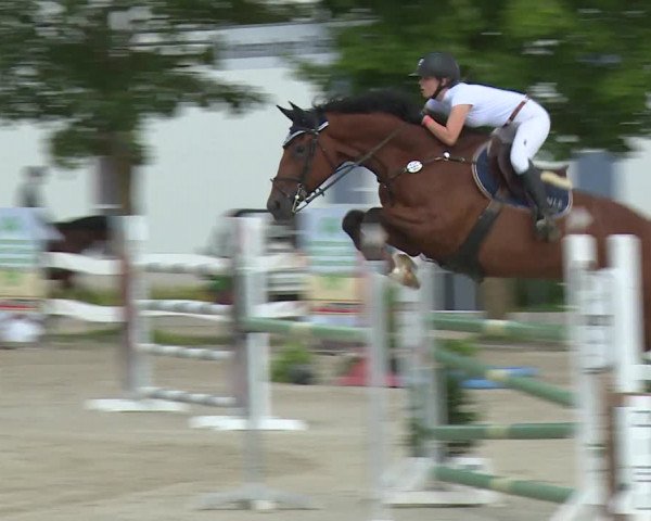 Reitturnier Rot am See- Musdorf 2020