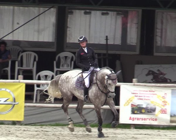 Reitturnier Vlotho-Exter 2020