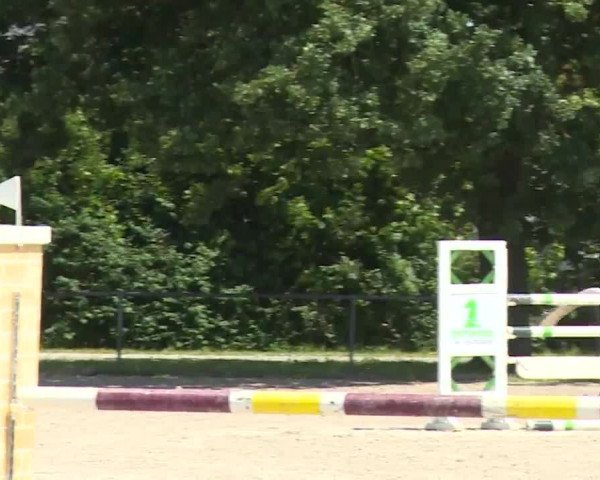 Reitturnier Rot am See- Musdorf 2020