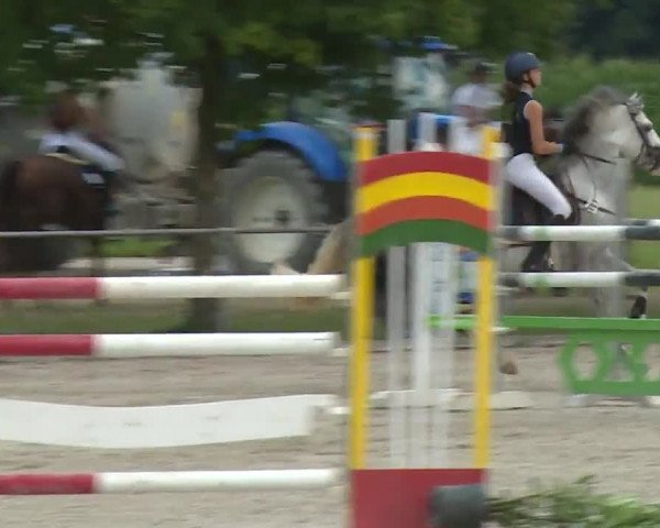 Reitturnier Rot am See- Musdorf 2020