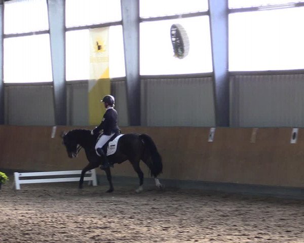Reitturnier Frechen-Grefrath - Sonnenhof 2021