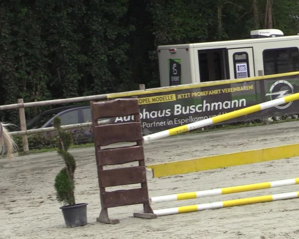 Reitturnier Vlotho-Exter 2020
