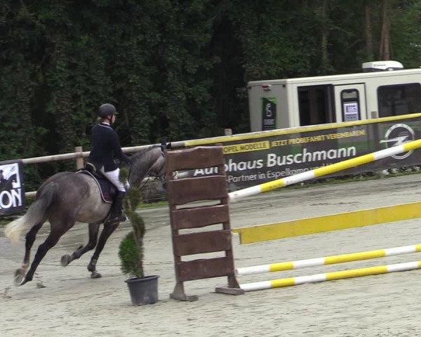 Reitturnier Vlotho-Exter 2020