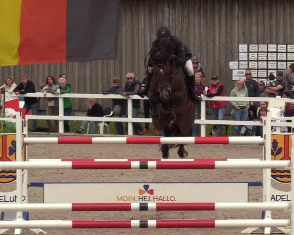 Reitturnier Ladelund 2020