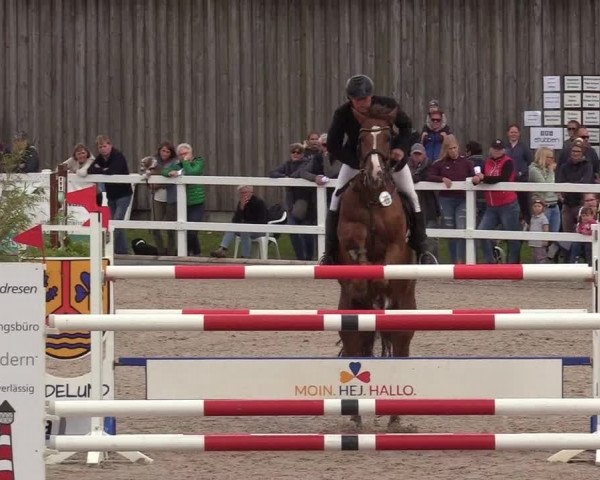 Reitturnier Ladelund 2020