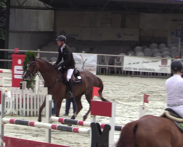 Reitturnier Vlotho-Exter 2020