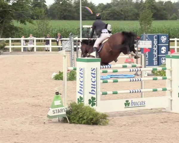 Reitturnier Ladelund 2020