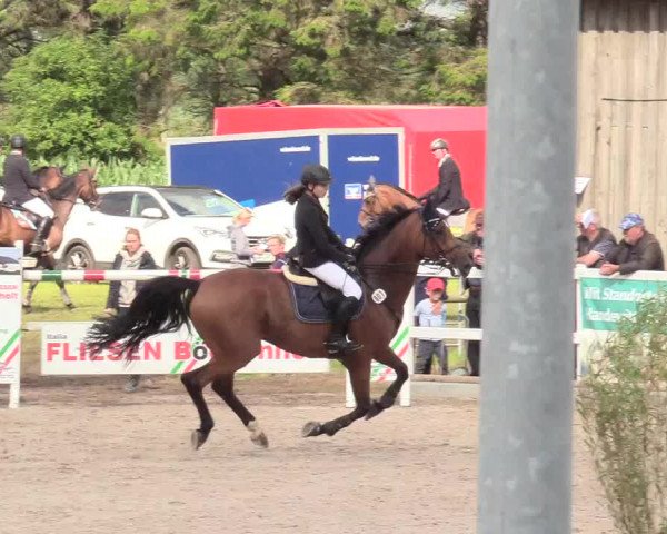 Reitturnier Ladelund 2020