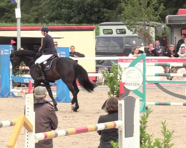 Reitturnier Ladelund 2020