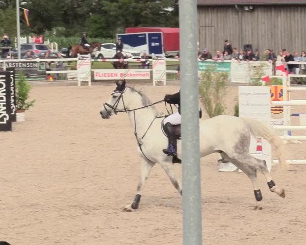 Reitturnier Ladelund 2020