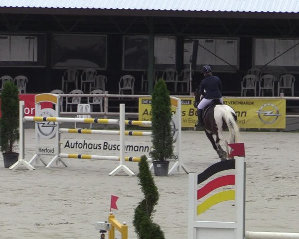Reitturnier Vlotho-Exter 2020