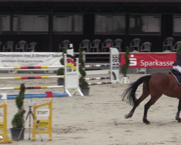 Reitturnier Vlotho-Exter 2020
