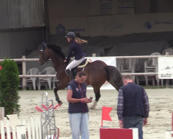 Reitturnier Vlotho-Exter 2020