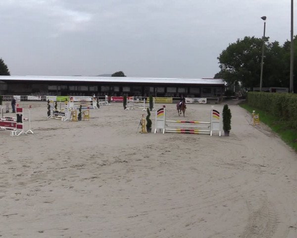 Reitturnier Vlotho-Exter 2020