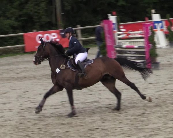 Reitturnier Vlotho-Exter 2020