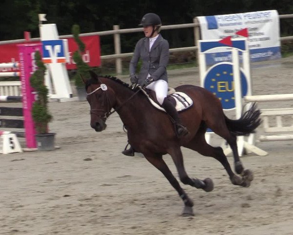 Reitturnier Vlotho-Exter 2020