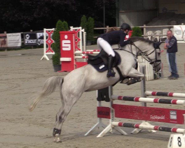 Reitturnier Vlotho-Exter 2020