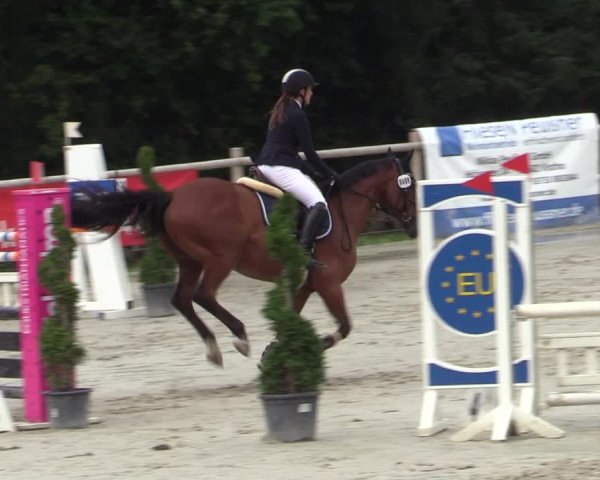 Reitturnier Vlotho-Exter 2020