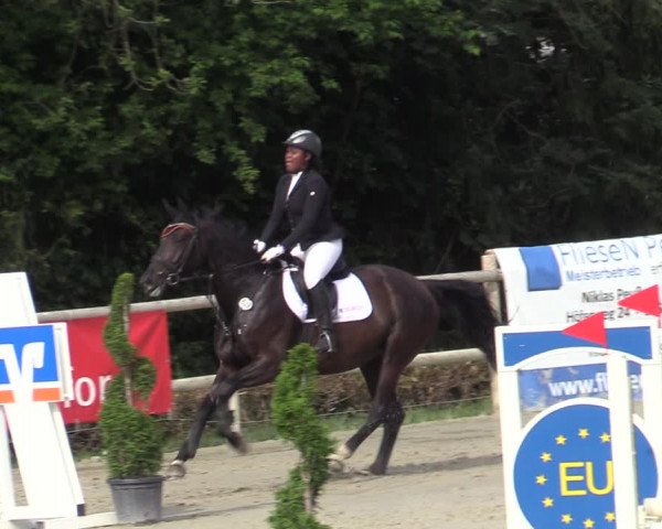 Reitturnier Vlotho-Exter 2020