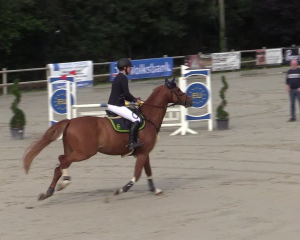 Reitturnier Vlotho-Exter 2020