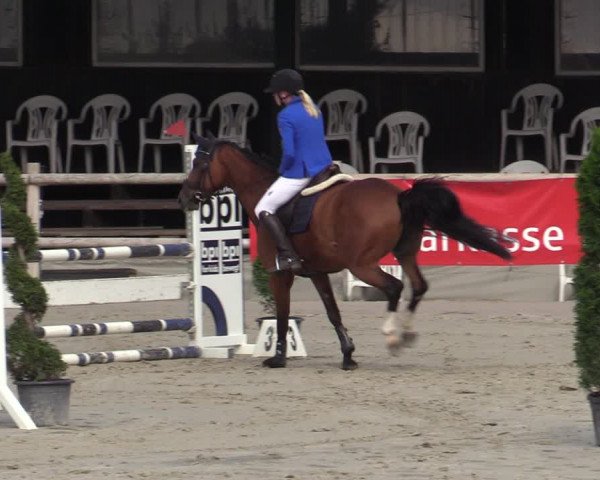 Reitturnier Vlotho-Exter 2020