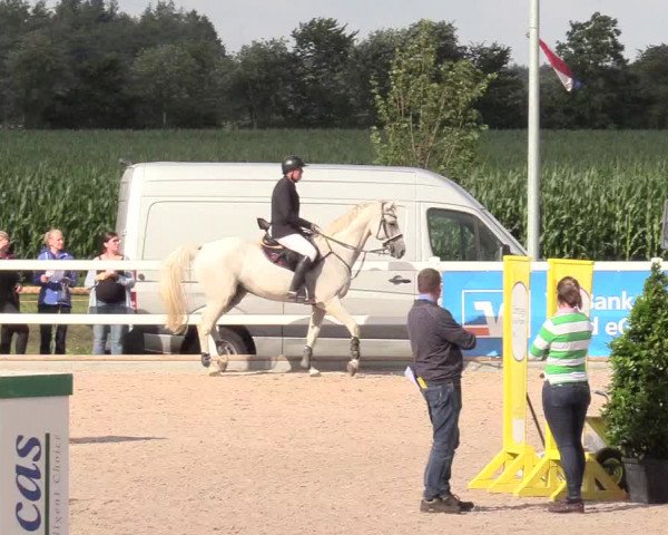 Reitturnier Ladelund 2020