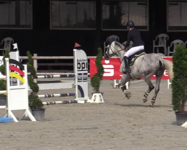 Reitturnier Vlotho-Exter 2020