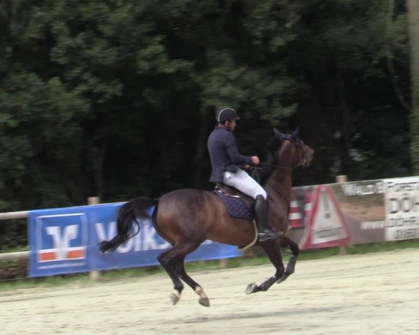Reitturnier Vlotho-Exter 2020
