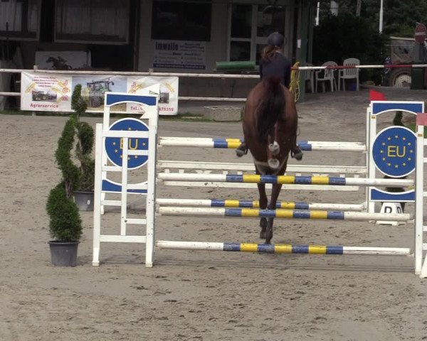 Reitturnier Vlotho-Exter 2020