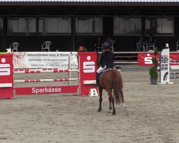 Reitturnier Vlotho-Exter 2020