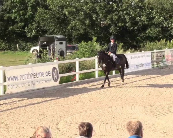 Reitturnier Ladelund 2020