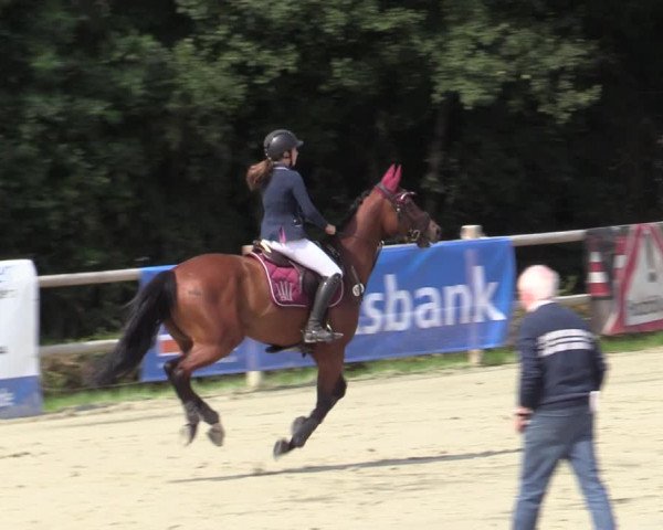 Reitturnier Vlotho-Exter 2020