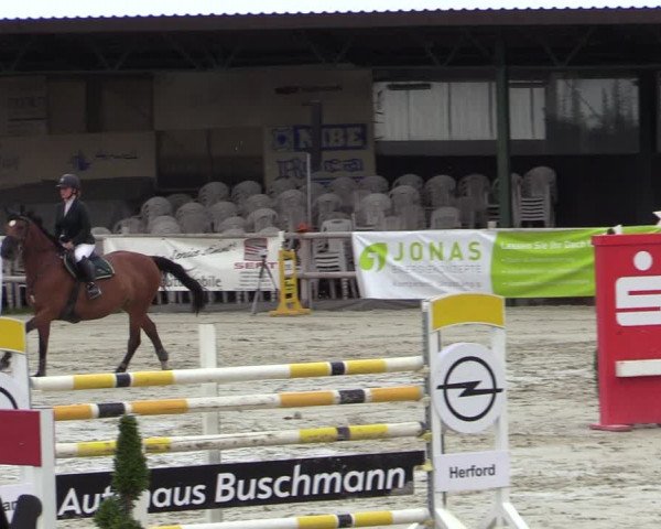 Reitturnier Vlotho-Exter 2020