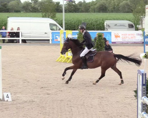 Reitturnier Ladelund 2020