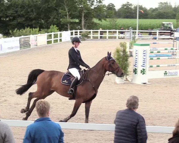 Reitturnier Ladelund 2020