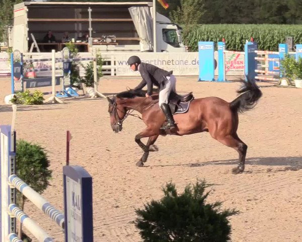 Reitturnier Ladelund 2020