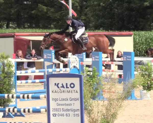 Reitturnier Ladelund 2020