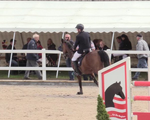 Reitturnier Ladelund 2020
