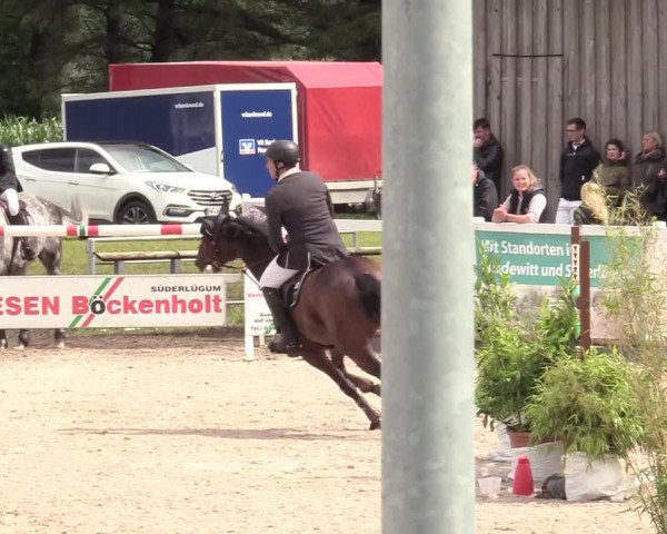 Reitturnier Ladelund 2020