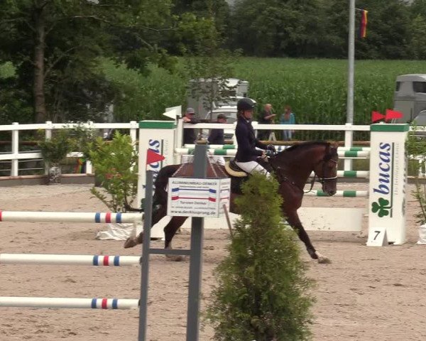 Reitturnier Ladelund 2020