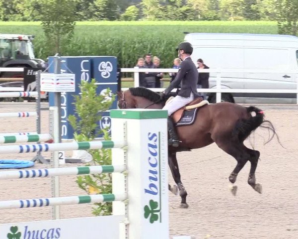 Reitturnier Ladelund 2020