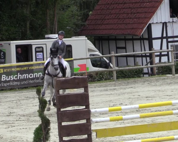 Reitturnier Vlotho-Exter 2020