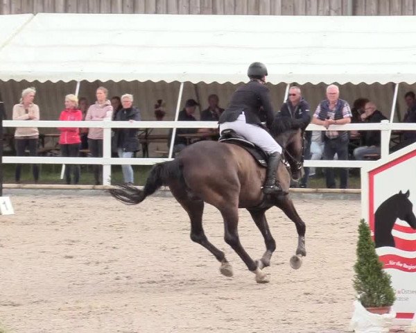 Reitturnier Ladelund 2020