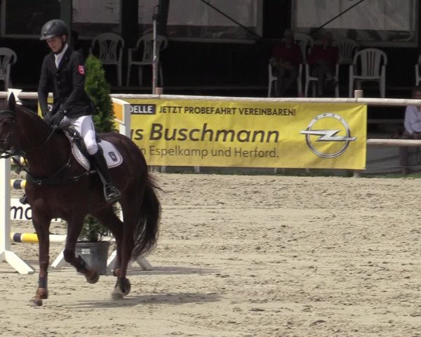 Reitturnier Vlotho-Exter 2020