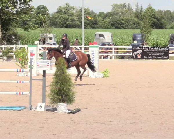 Reitturnier Ladelund 2020