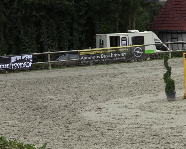 Reitturnier Vlotho-Exter 2020