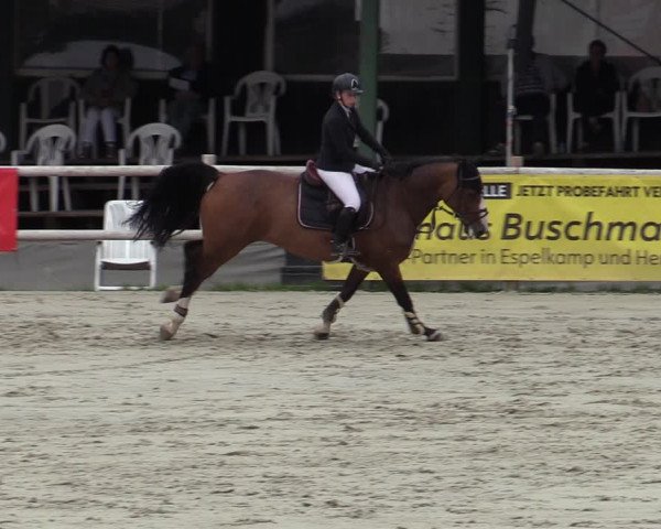 Reitturnier Vlotho-Exter 2020